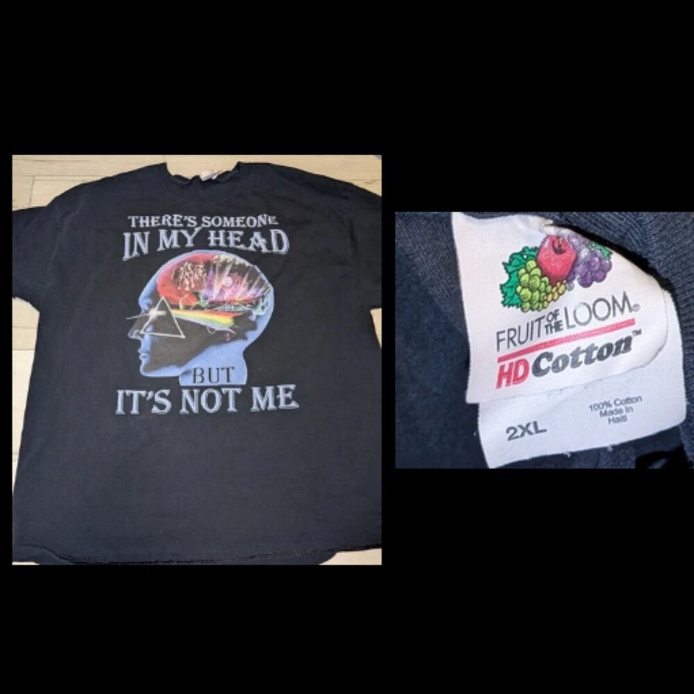 Pink Floyd Band Shirt " There Is Someone In My Head But It's Not Me " Adult 2XL